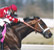 From The Horse's Mouth - Your weekend racing guide