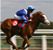 From The Horse's Mouth - 2000 Guineas tips